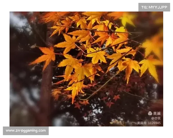 JC·里奇赞杭州公开赛球场养护水平并盛赞杭州城市魅力